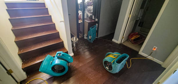 Best Professional water damage repair  in Venetian Vlage, IL