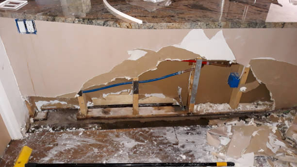 Best Water damage restoration company  in Venetian Vlage, IL