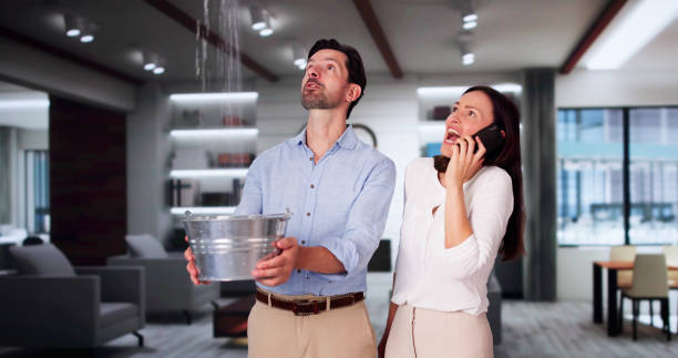 Best Fire Damage Restoration  in Venetian Vlage, IL