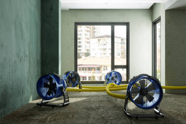 Best Residential water damage restoration  in Venetian Vlage, IL