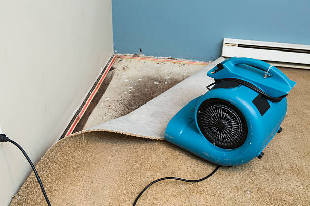 Best Flooded house restoration  in Venetian Vlage, IL